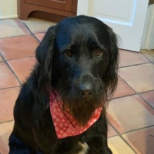 Meet your Posher, Ethan